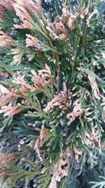IMG-20180604-WA0010.webp