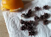 Frucht Kern1.jpg