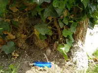 05_06_2018 (18).webp