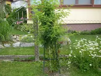 05_06_2018 (10).webp
