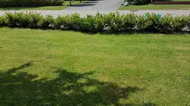 20180605_125029.webp
