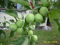 DSCI3595.webp