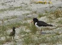 Urlaub 22.webp