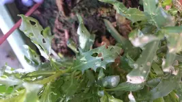 2018-06-05 16.59.27.webp