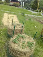 IMG_20180531_140205.webp