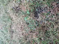 20180525_202115.webp