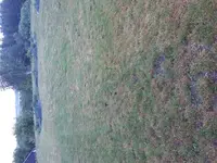 20180525_202243.webp