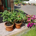 20180605_150319.jpg