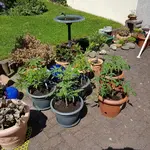 20180605_150401.jpg