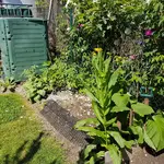 20180605_150530.webp