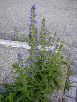 02_06_2018 (28).webp