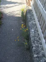 BILD9759.webp