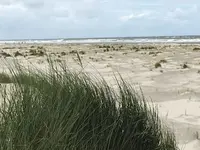 IMG-20170906-WA0008.jpg