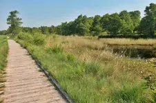 Urlaub 7.webp