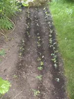 BILD9723.webp