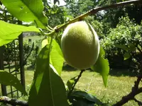 BILD9736.webp