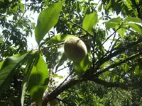 BILD9737.webp