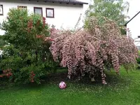IMG_20180516_184553438.webp