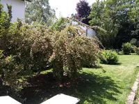 IMG_20180606_131201555.webp
