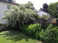 IMG_20180606_140956017.jpg