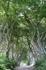 Irland 9.jpg