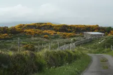 Irland 11.webp