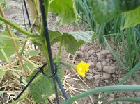IMG_20180605_183924.webp