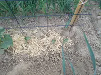 IMG_20180605_183937.webp