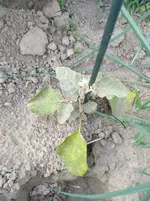 IMG_20180605_184006.jpg