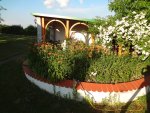 DSC03107.jpg