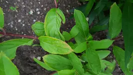 20180606_205703.webp