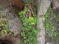 07_06_2018 (16).webp