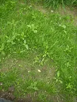 07_06_2018 (7).webp