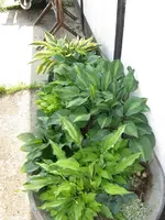002_576x768.webp