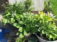 001_1024x768.JPG