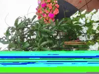 1528384739001281542070.webp