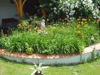 DSC03088.webp