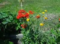 DSC03091.webp