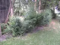 BILD9789.webp