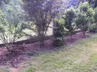 BILD9779.webp