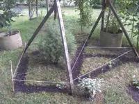 BILD9798.webp