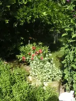BILD9773.webp