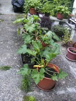 BILD9799.webp