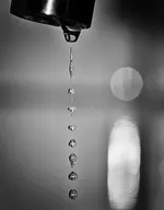 0M3A5060.webp