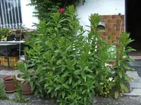 BILD9802.webp