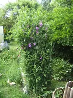 BILD9775.webp