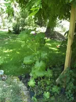 BILD9747.webp