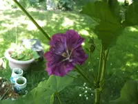 BILD9746.webp