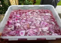 Marmelade und Gelee 2.webp