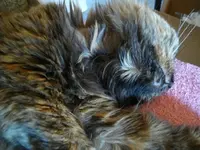 IMGP6269.webp